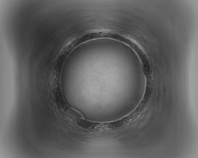 X0000113560967200909181216