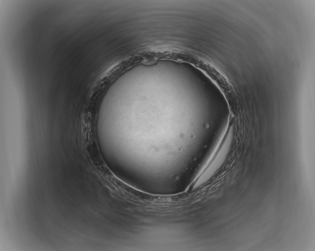 X0000113560968200909181216