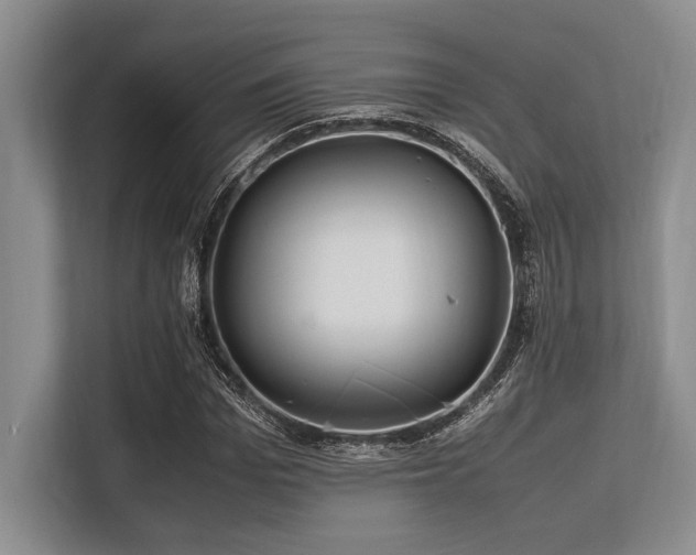 X0000113560969200909181216