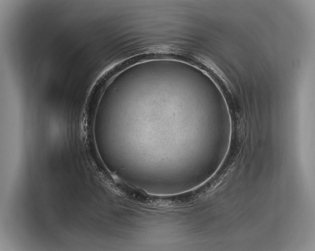 X0000113560971200909181216