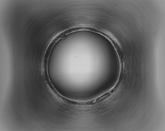 X0000113560972200909181216