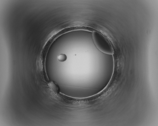 X0000113560973200909181216