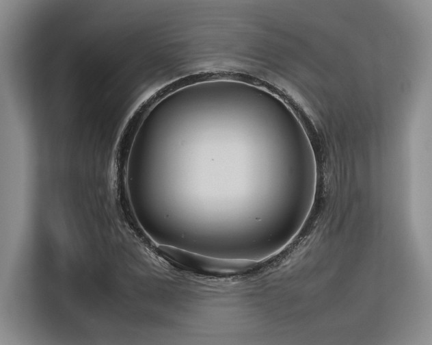 X0000113560975200909181216