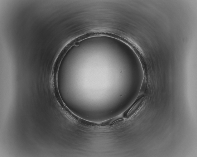 X0000113560976200909181216