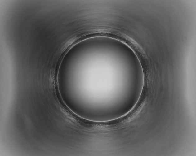 X0000113560977200909181216