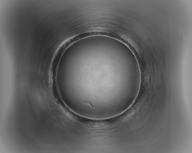 X0000113560979200909181216
