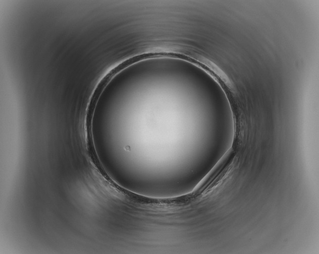 X0000113560980200909181216