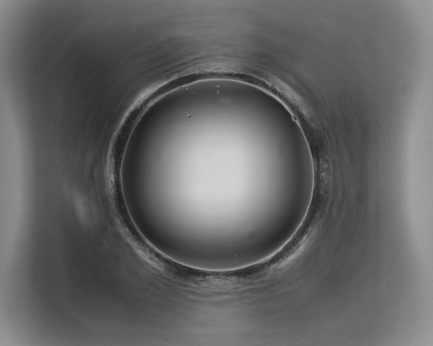 X0000113560981200909181216