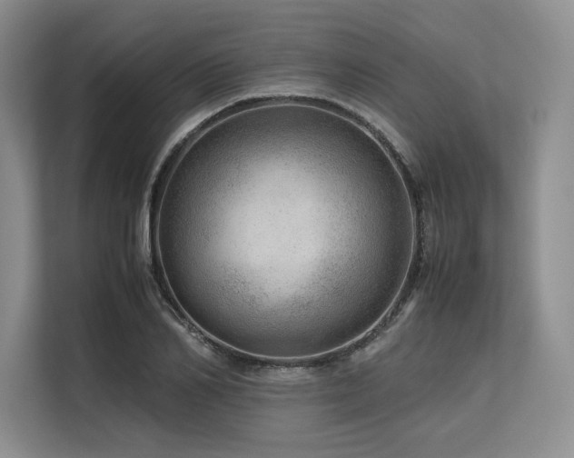 X0000113560982200909181216
