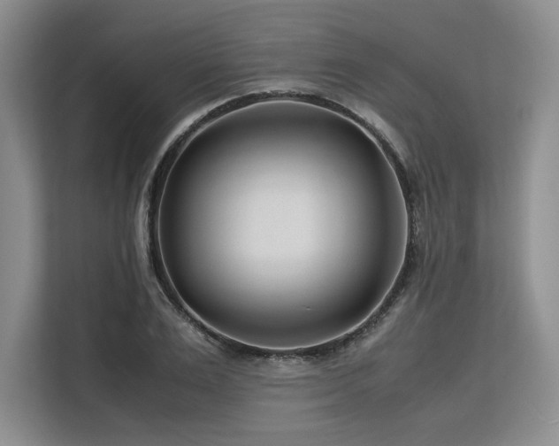 X0000113560983200909181216