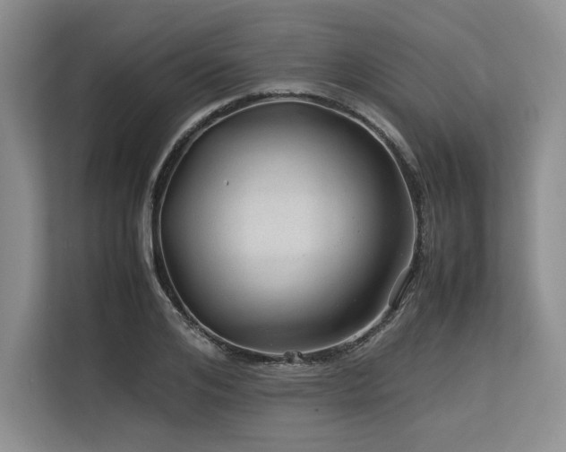X0000113560984200909181216