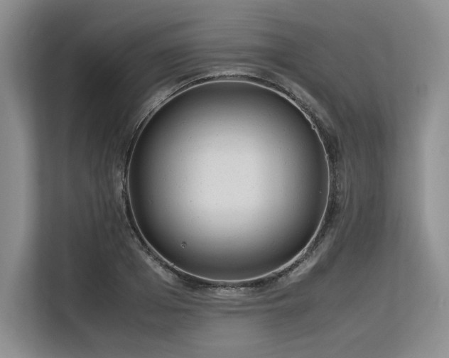 X0000113560985200909181216