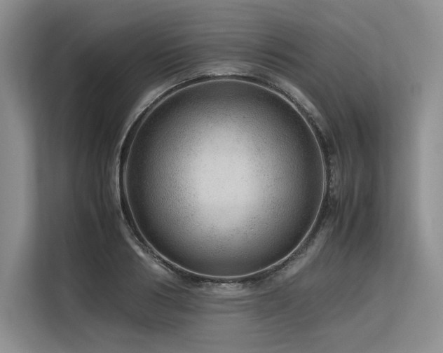 X0000113560986200909181216