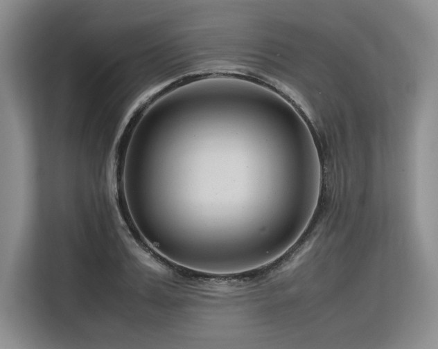 X0000113560987200909181216