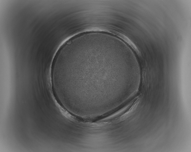 X0000113560988200909181216