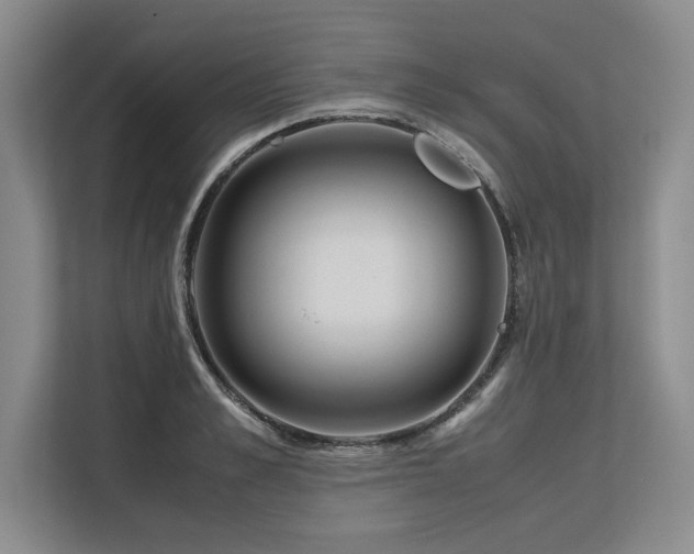X0000113560989200909181216