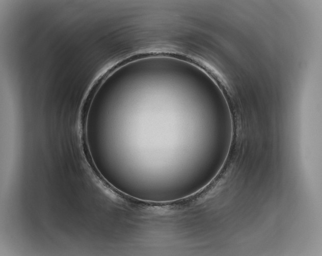 X0000113560990200909181216