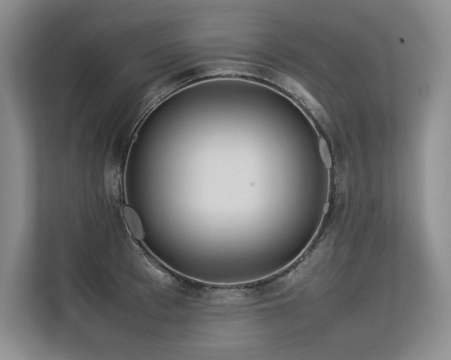 X0000113560993200909181216