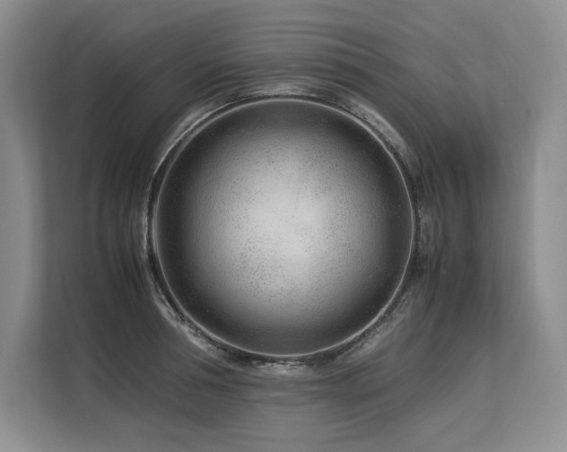X0000113560994200909181216