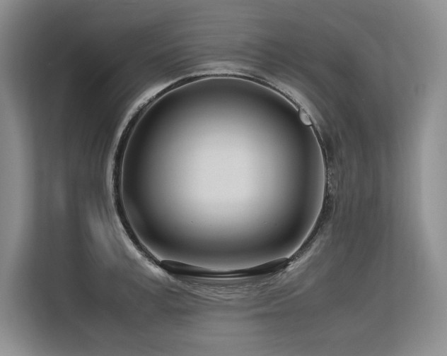 X0000113560995200909181216
