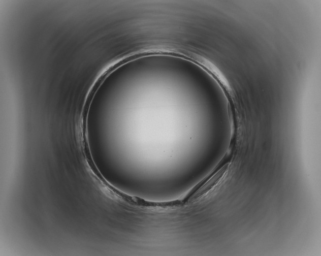 X0000113560996200909181216