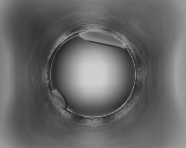 X0000113560997200909181216