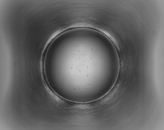 X0000113560998200909181216