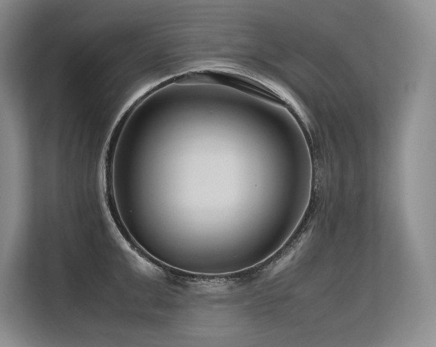 X0000113560999200909181216