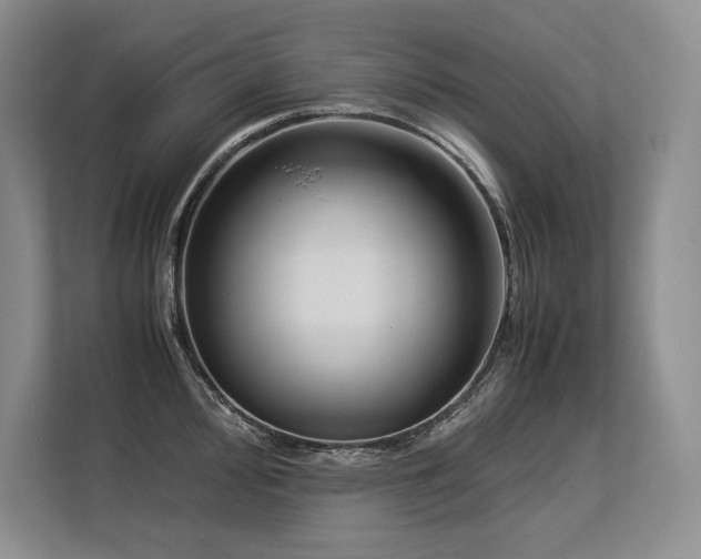 X0000113561000200909181216