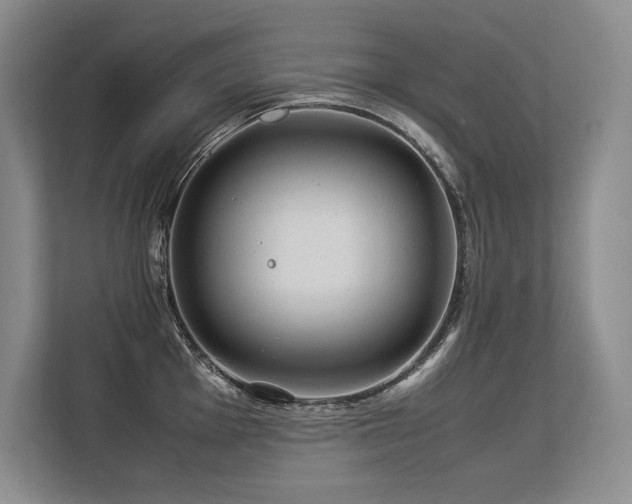 X0000113561001200909181216