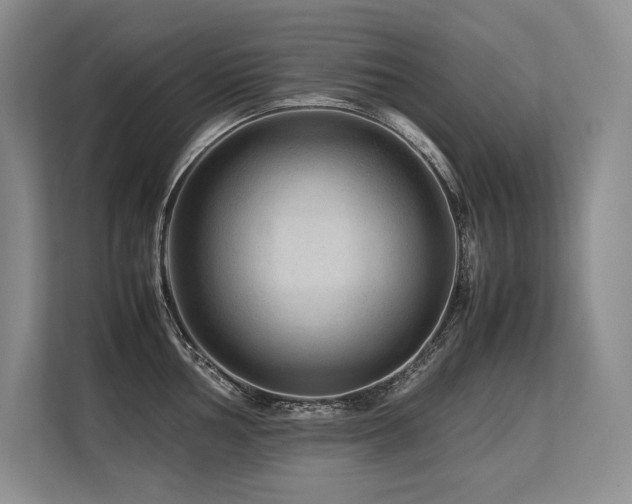 X0000113561002200909181216