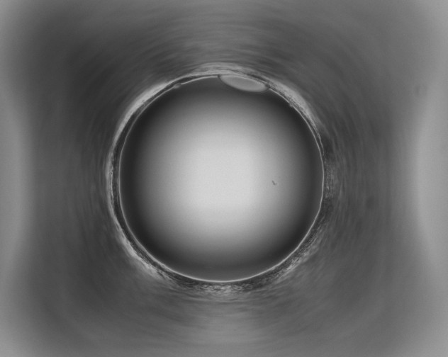 X0000113561003200909181216