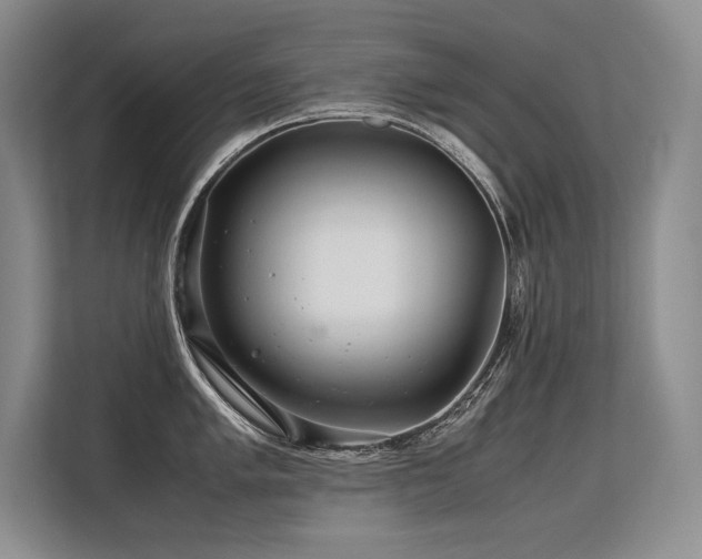 X0000113561005200909181216