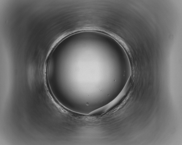 X0000113561006200909181216