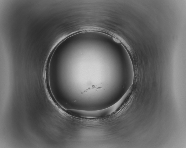 X0000113561007200909181216