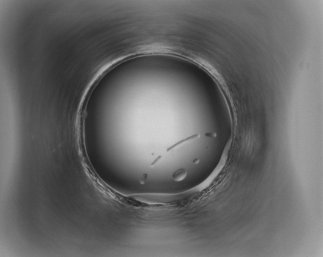 X0000113561008200909181216
