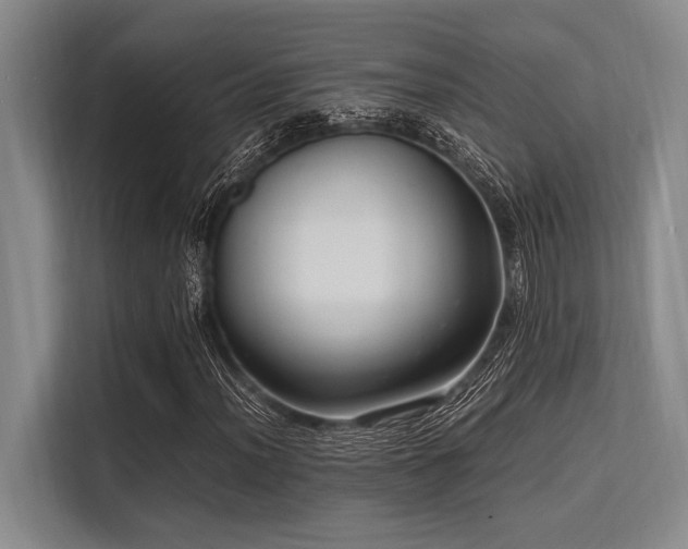 X0000113561012200909181215