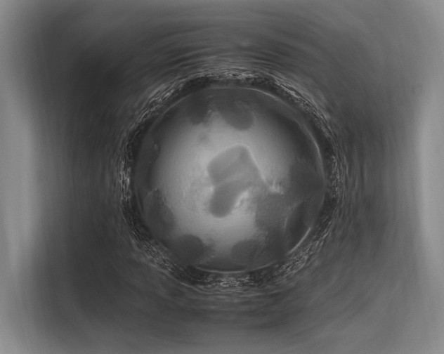 X0000113561013200909181215