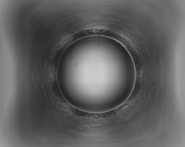 X0000113561014200909181215