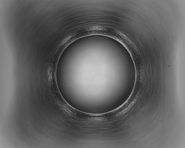 X0000113561017200909181215