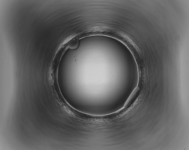 X0000113561018200909181215