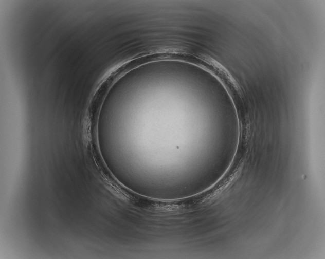 X0000113561019200909181215