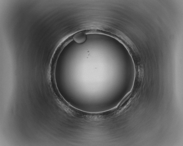 X0000113561020200909181215
