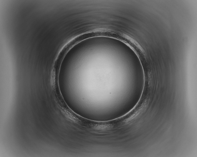 X0000113561021200909181215