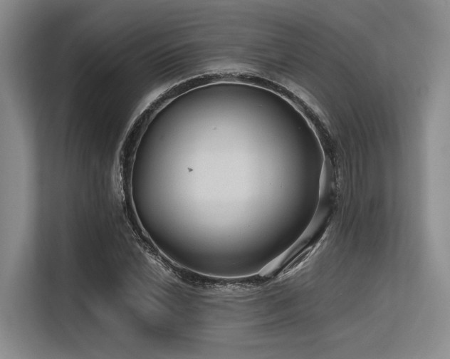 X0000113561022200909181215