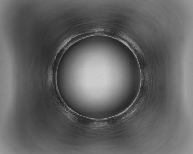 X0000113561023200909181215