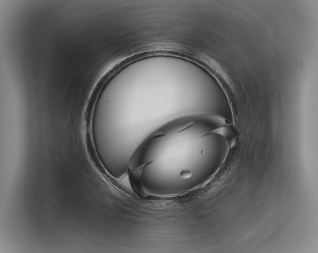 X0000113561024200909181215