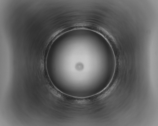 X0000113561025200909181215