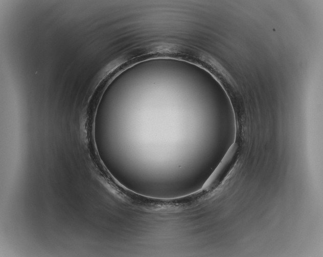 X0000113561026200909181215
