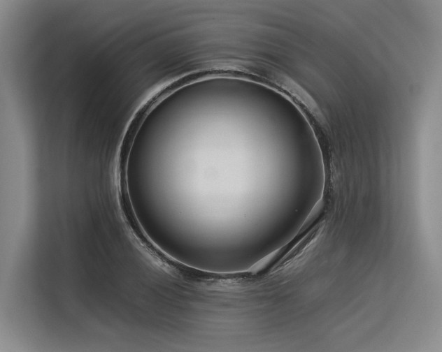 X0000113561028200909181215